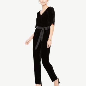 Black Ann Taylor Crushed Velvet Jumpsuit - 8 Black Short Sleeves